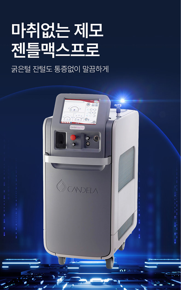 마취없는 젠틀맥스프로